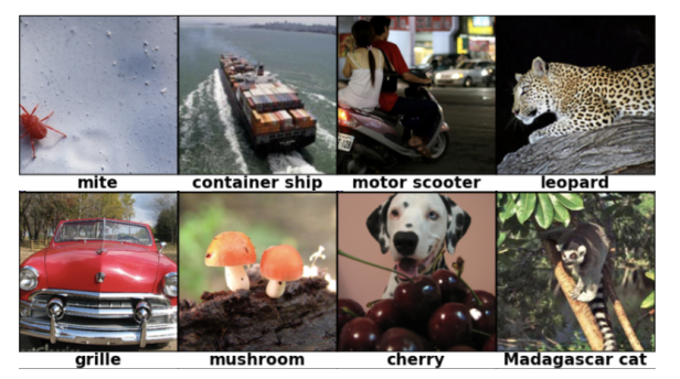 ImageNet example