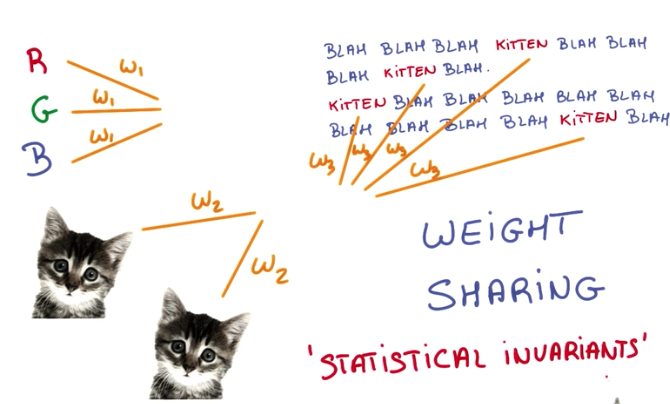 Statistical invariance