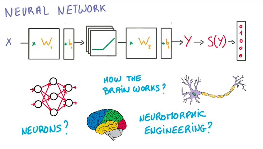 Neural Network Question